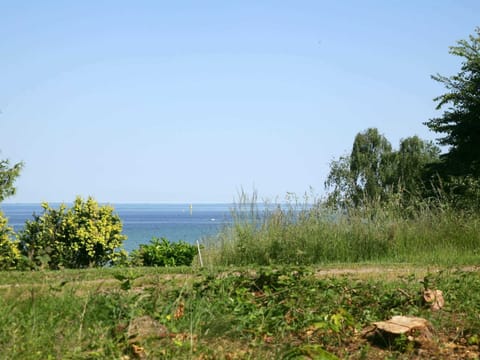 House | View from property