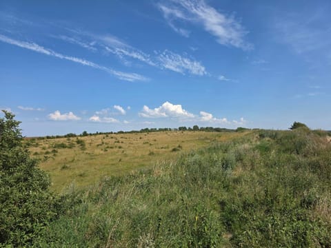 House | Miscellaneous