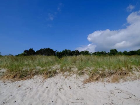 House | Miscellaneous