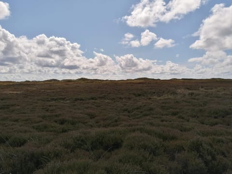 House | Miscellaneous