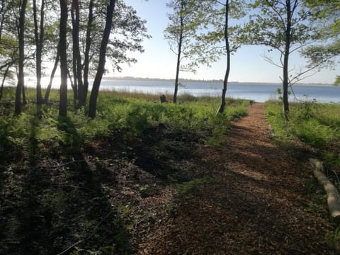 House | Miscellaneous