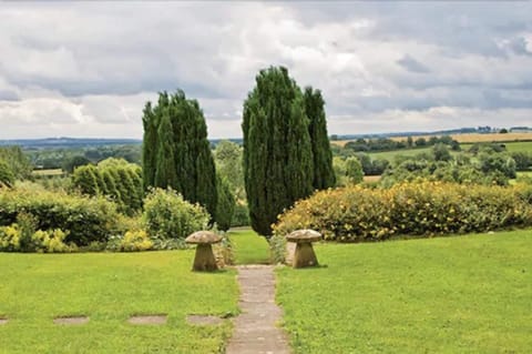 Outdoor wedding area