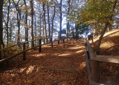 Bungalow | View from property