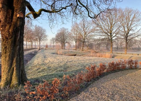 Tent | View from property