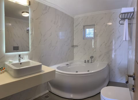 Superior Suite | Bathroom | Shower, rainfall showerhead, free toiletries, hair dryer