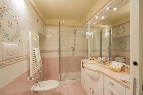 Shower, free toiletries, hair dryer, slippers