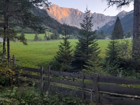 Apartment | View from property