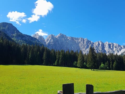 Apartment | View from property