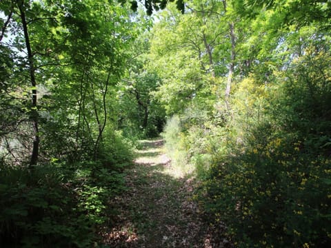Cottage | View from property