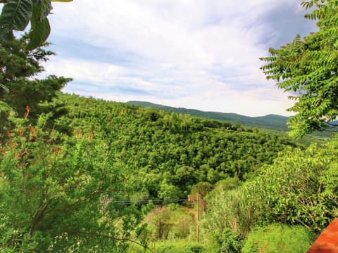 House | View from property