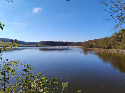 House | View from property