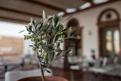 Breakfast, lunch served; Greek cuisine, pool views 