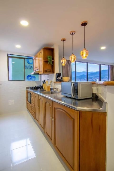 Superior Apartment | Private kitchen | Fridge, microwave, blender, griddle