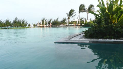 Outdoor pool, pool umbrellas, sun loungers