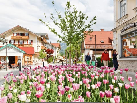 Apartment | View from property