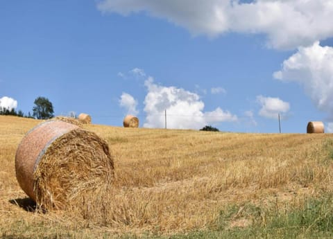 House | View from property