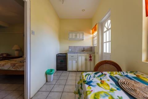 Basic Single Room, 1 King Bed, Kitchenette, Sea View | Private kitchen | Full-size fridge, microwave, oven, stovetop