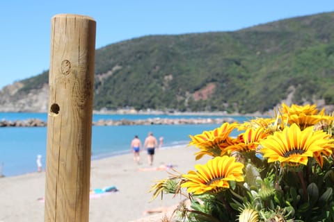 Beach nearby, beach towels