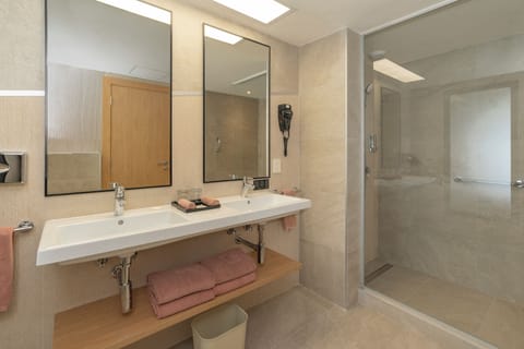 Combined shower/tub, eco-friendly toiletries, hair dryer, towels