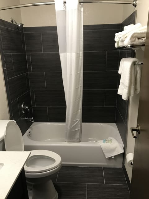 Combined shower/tub, free toiletries, hair dryer, towels