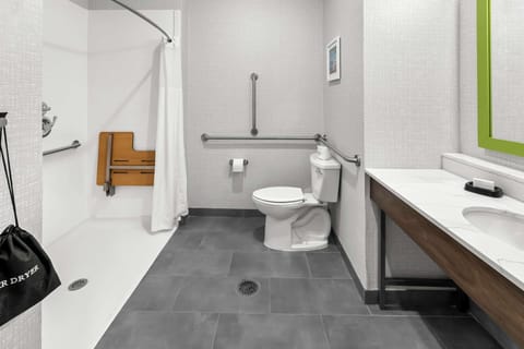 Handicap Accessible, Non-Smoking, Single King Room | Bathroom shower