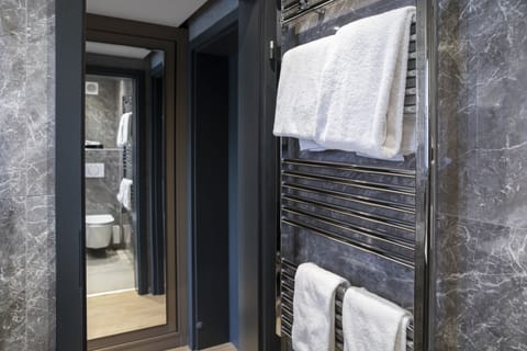 Business Double Room | Bathroom | Shower, free toiletries, hair dryer, towels