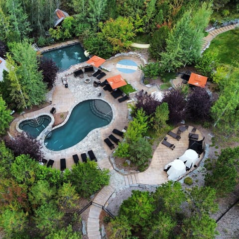 Seasonal outdoor pool, pool umbrellas, sun loungers