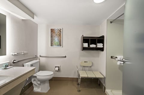Standard Room, 1 King Bed, Accessible, Non Smoking (Walk-in Shower) | Bathroom | Free toiletries, hair dryer, towels, soap