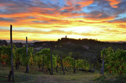 Apartment | View from property