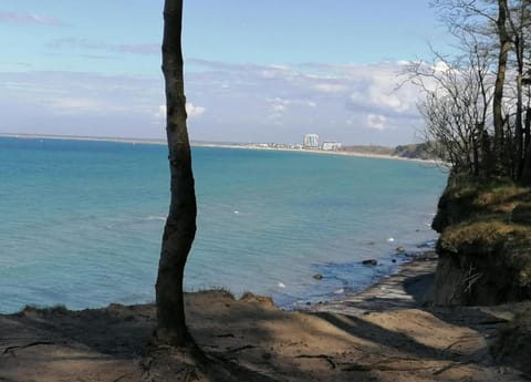 Apartment | View from property