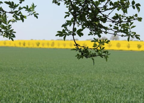Apartment | View from property
