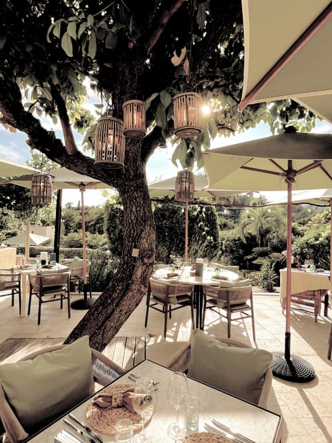 Lunch, dinner served; Modern European cuisine, pool views