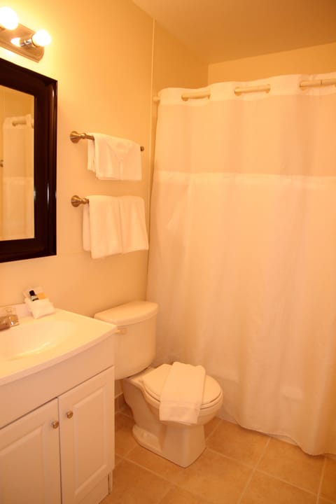 Deluxe Room, 1 Queen Bed | Bathroom | Combined shower/tub, deep soaking tub, free toiletries, towels