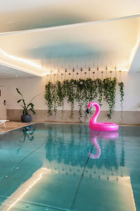 Indoor pool, sun loungers