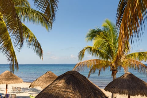 On the beach, white sand, sun loungers, beach umbrellas