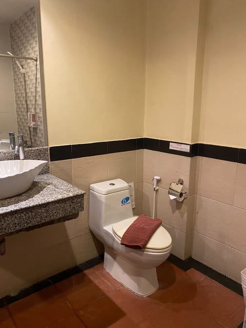 Combined shower/tub, free toiletries, hair dryer, towels