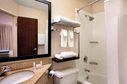 Combined shower/tub, eco-friendly toiletries, hair dryer, towels