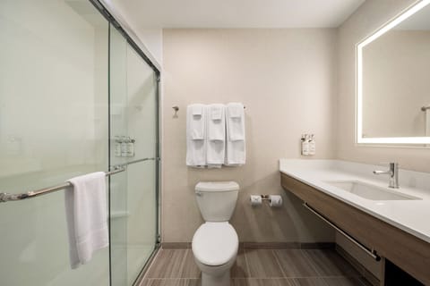 Combined shower/tub, free toiletries, hair dryer, towels