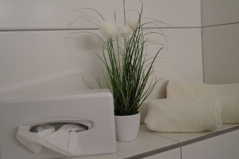 Free toiletries, hair dryer, slippers, towels