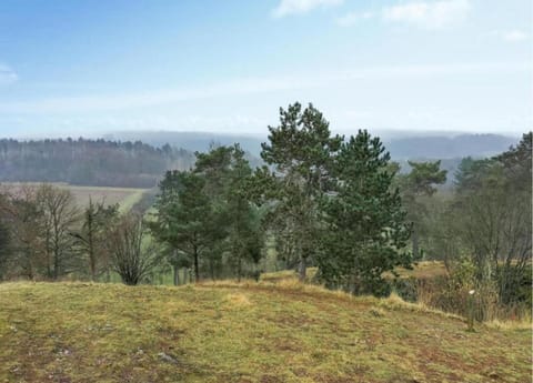 House | View from property