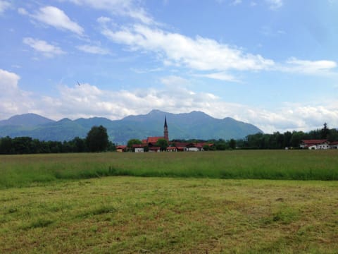 Apartment | View from property