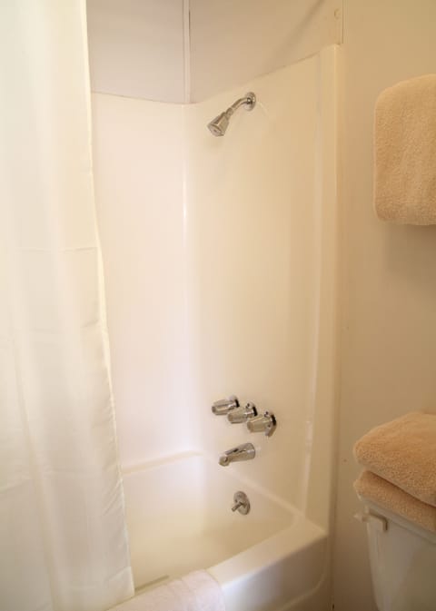 Combined shower/tub, hair dryer, towels