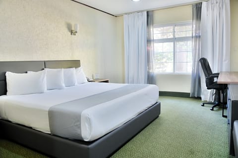 Premium Room | Premium bedding, pillowtop beds, desk, blackout drapes