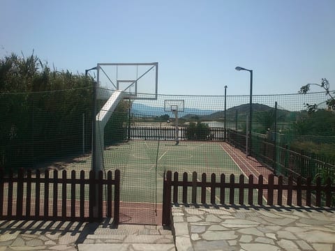 Basketball court