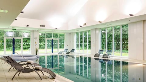 Indoor pool, sun loungers