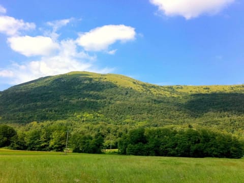 Villa | View from property