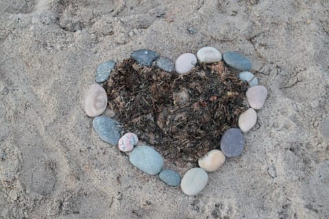 House | Interior detail