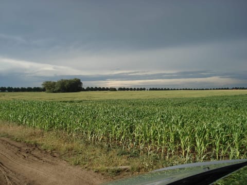 Apartment | View from property