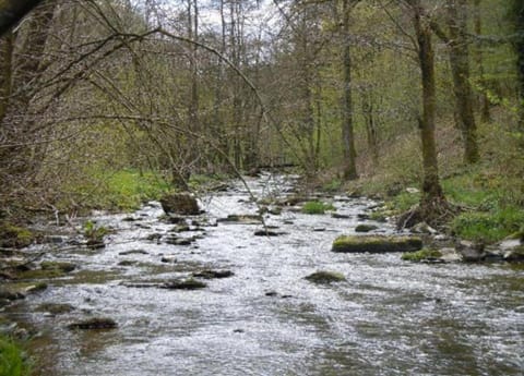 House | View from property