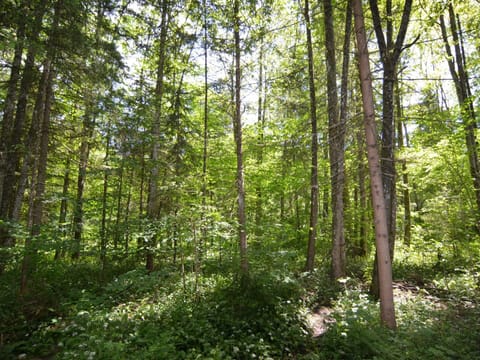 Apartment | View from property